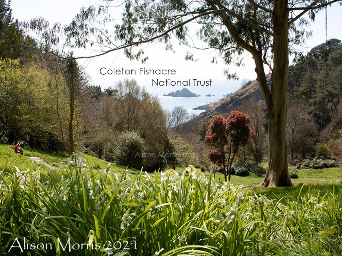 Dart Haven - Cheerful Holiday Bungalow In Galmpton Bagian luar foto