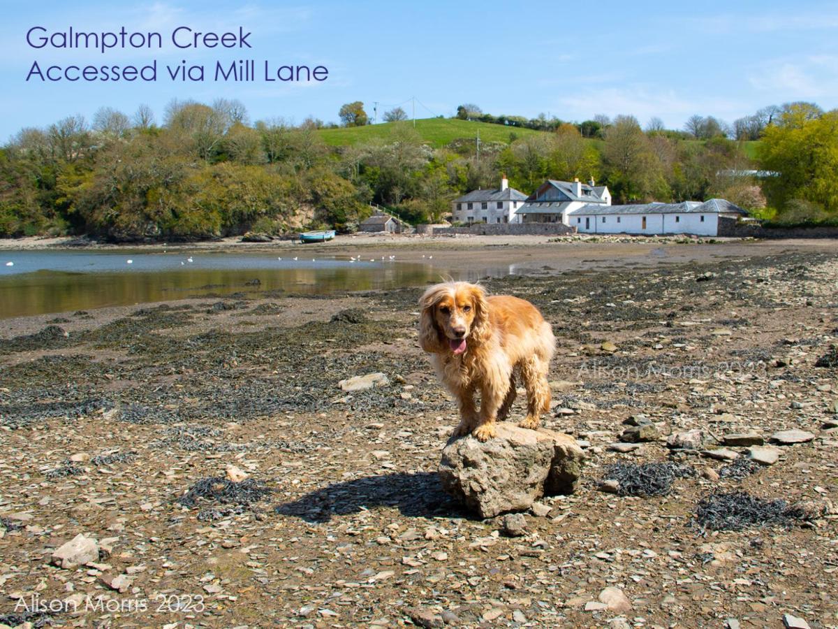Dart Haven - Cheerful Holiday Bungalow In Galmpton Bagian luar foto