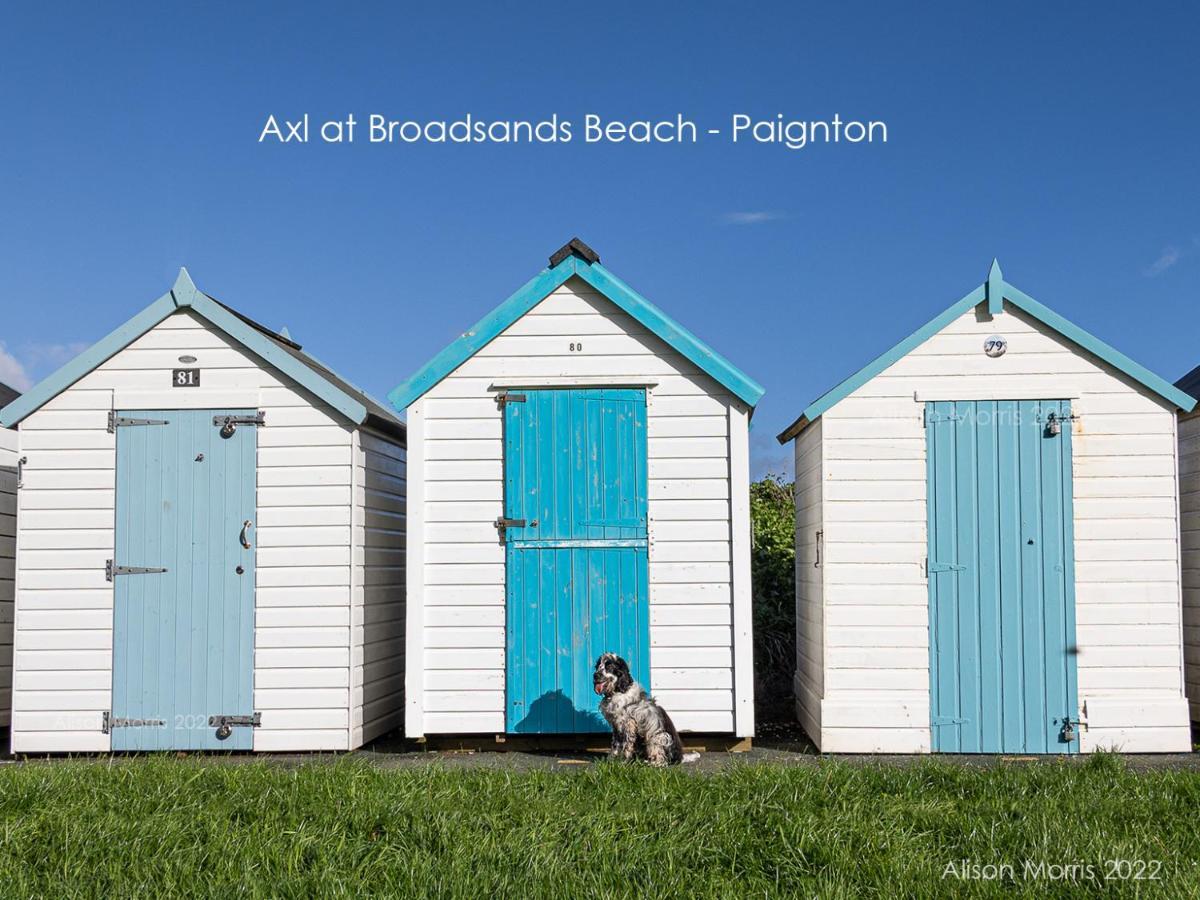 Dart Haven - Cheerful Holiday Bungalow In Galmpton Bagian luar foto